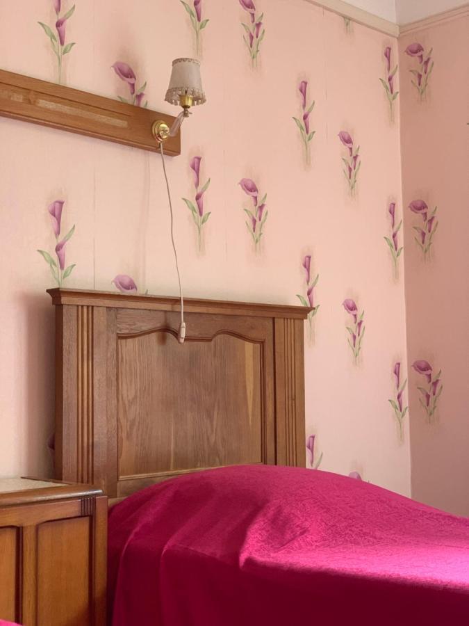 Hotel Restaurant D'Alsace Plombières-les-Bains Exteriér fotografie